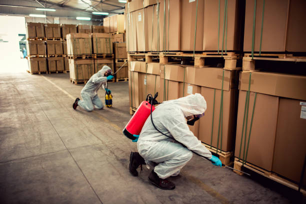Best Affordable Pest Control Services  in Arlington, MN