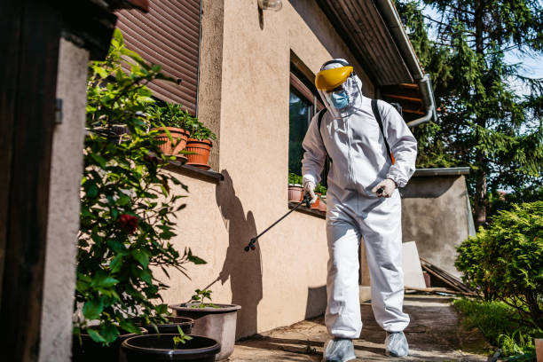 Trusted Arlington, MN Pest Control Experts
