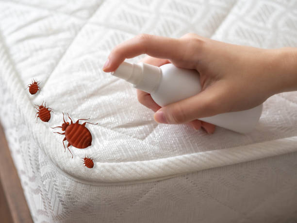 Best Best Pest Control Companies  in Arlington, MN